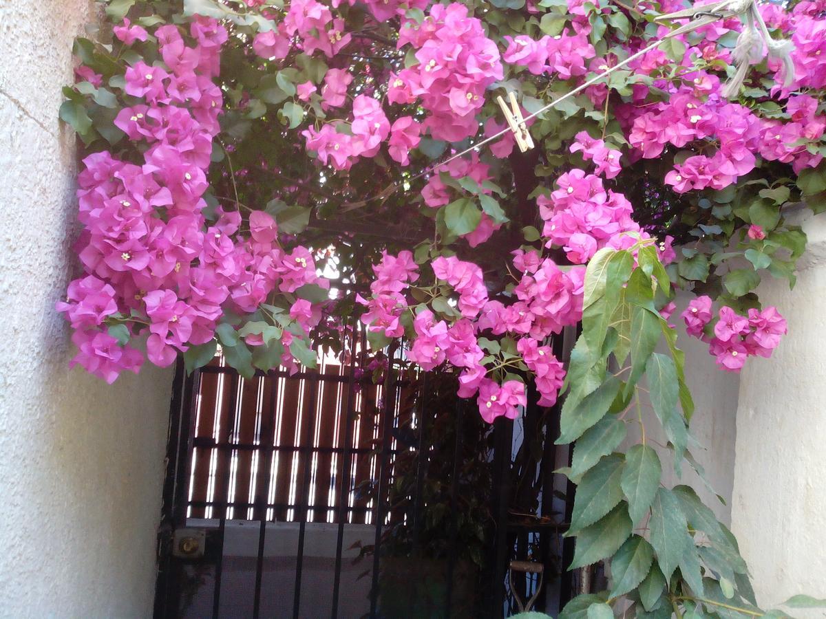 Alojamiento Alberto Magno Bed and Breakfast Santiago de Chile Exterior foto